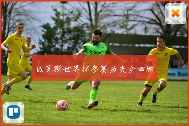 俄罗斯世界杯参赛历史全回顾