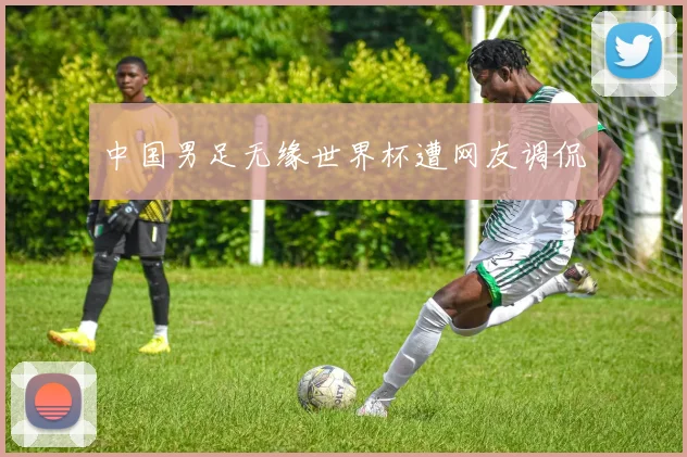 中国男足无缘世界杯遭网友调侃