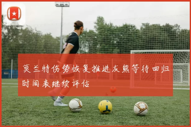 莫兰特伤势恢复推进灰熊等待回归时间表继续评估