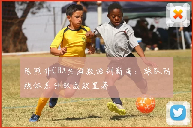 陈照升CBA生涯数据创新高，球队防线体系升级成效显著