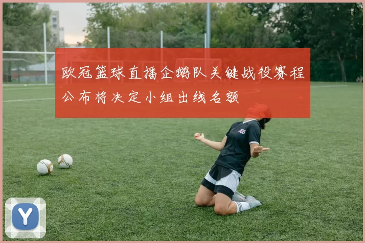 欧冠篮球直播企鹅队关键战役赛程公布将决定小组出线名额