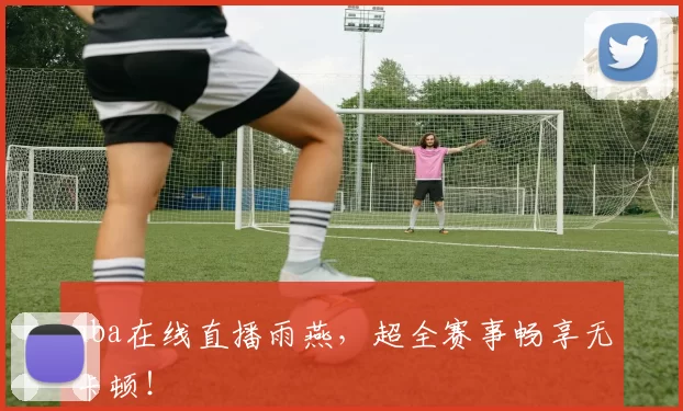 nba在线直播雨燕，超全赛事畅享无卡顿！