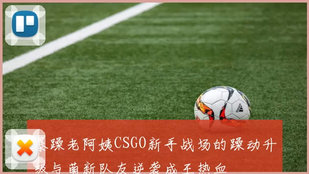 暴躁老阿姨CSGO新手战场的躁动升级与萌新队友逆袭成王热血