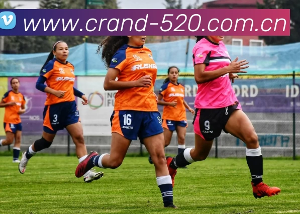 辅助工具 辅助工具